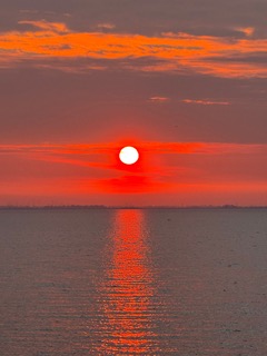 Zen.nl, Zen, meditatie, leren mediteren, foto